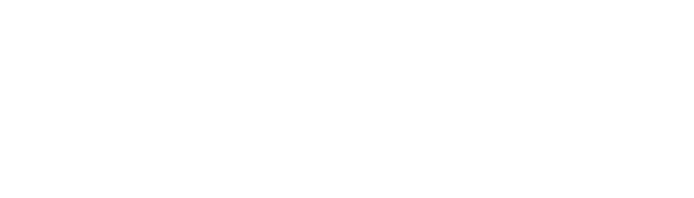 logo-mvotion-white-emm